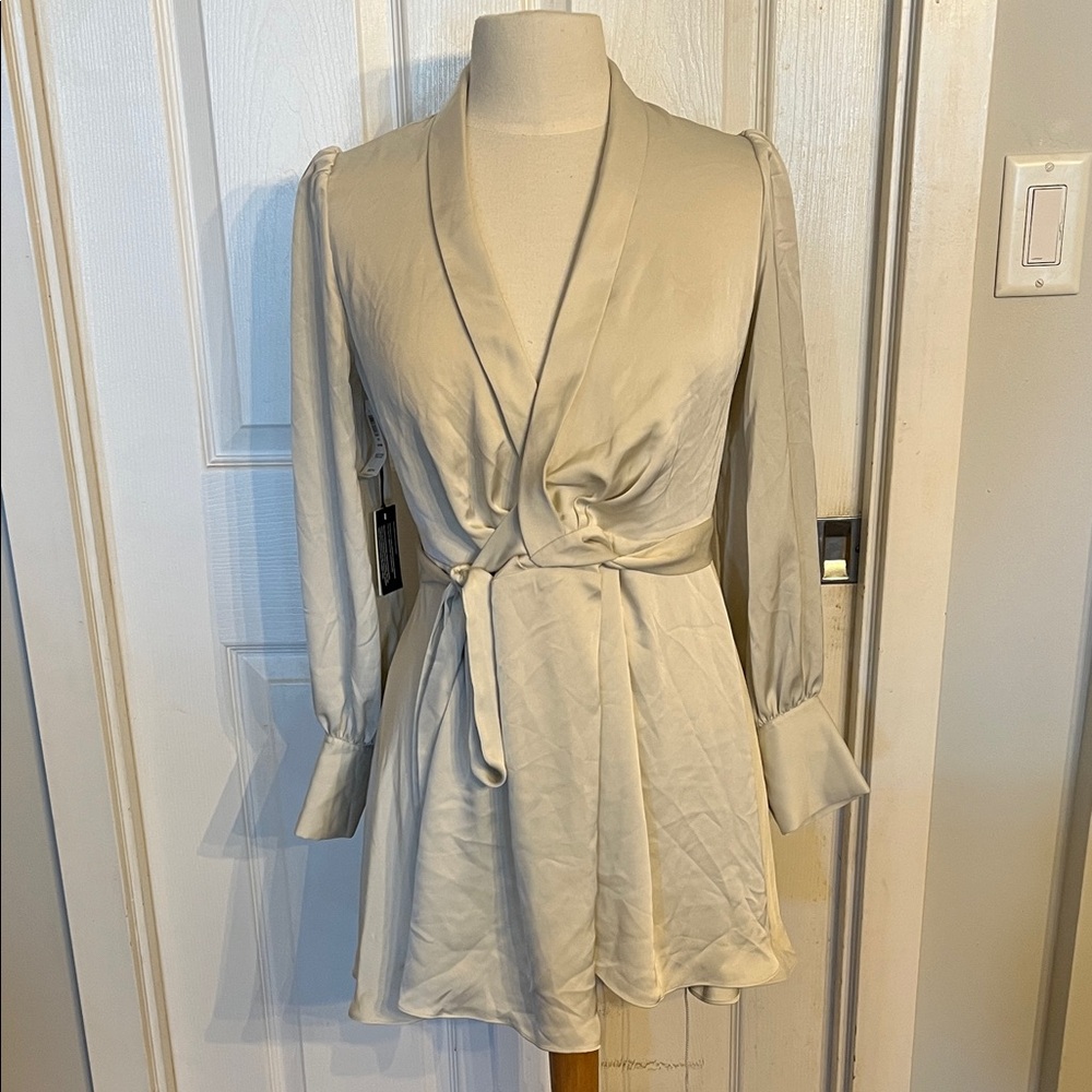 Aritzia Babaton Hyde Satin Mini Dress-Matte Pearl